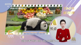 成人中文字幕在线